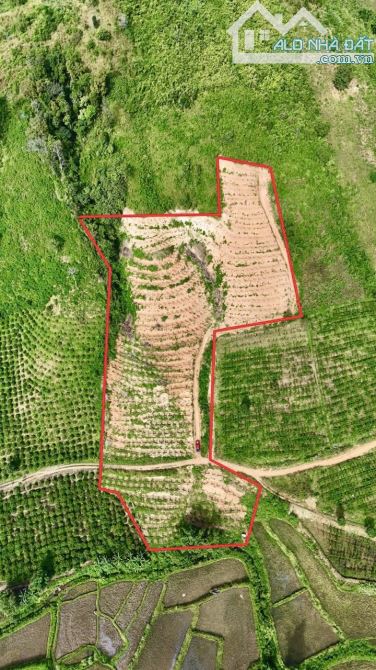 ✨ BÁN NHANH SIÊU PHẨM 2 MẶT TIỀN: 13.457m2 (gần 1.4 Héc) CÔNG CHỨNG SỚM - GIÁ: chỉ 478Tr