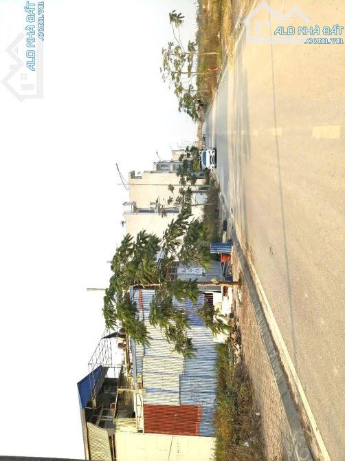 DUY NHẤT 1 lô Lk10 hướng ĐÔNG vị trí đẹp siêu hiếm TDC Áp Tràn Dương Quan TP Thuỷ Nguyên - 1