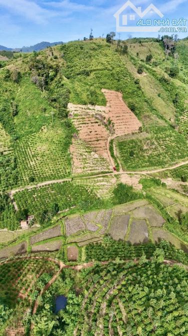 ✨ BÁN NHANH SIÊU PHẨM 2 MẶT TIỀN: 13.457m2 (gần 1.4 Héc) CÔNG CHỨNG SỚM - GIÁ: chỉ 478Tr - 1