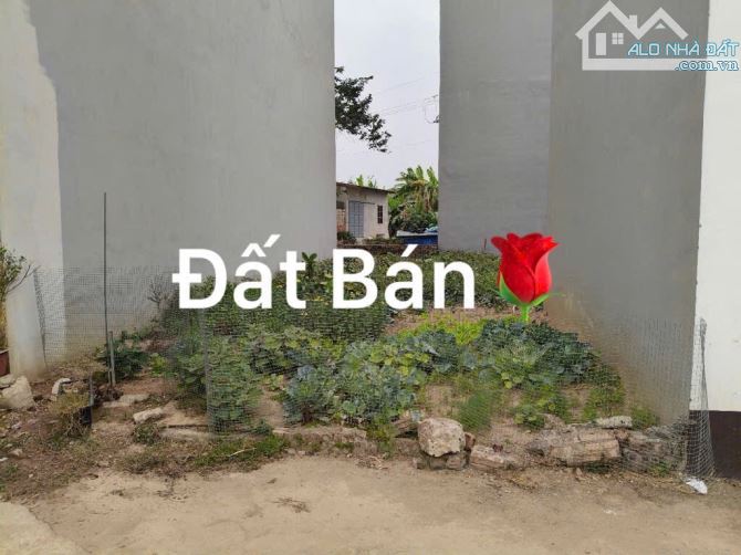 Bán đất tái định cư Kim Sơn Gia Lâm Hà Nội - 2