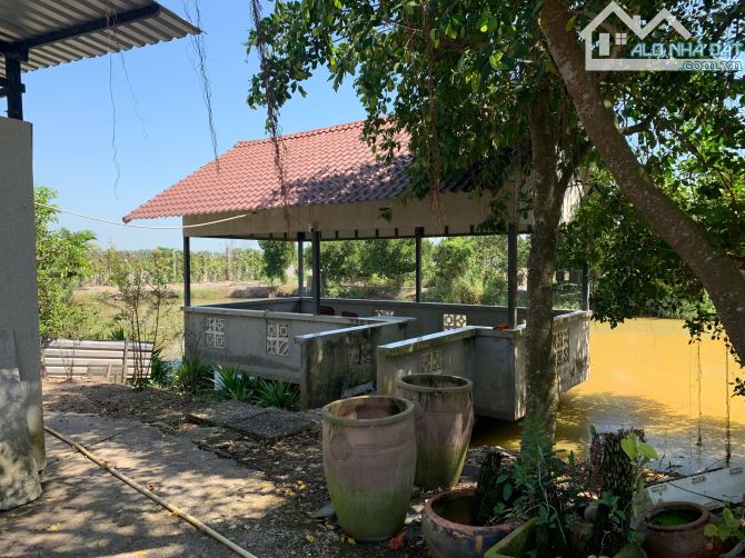 Bán vườn và ruộng mặt tiền kênh Đòn Dong gần KCN Thạnh Lộc - 2