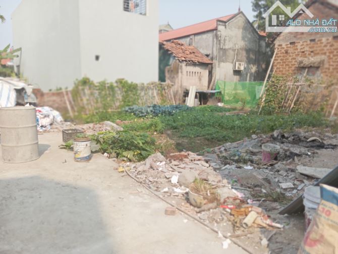 Chính chủ bán đất Thọ An Đan Phượng 45 m2 mặt tiền 4.2 m , ô tô đỗ cửa. - 3