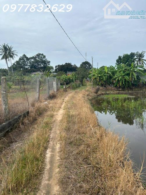 Bán gấp 2.8 sào đất ONT Tân An - TX LaGi giá ngộp View Sông Dinh - 3