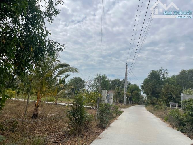 Bán đất 3484m2 đất ONT Tân Phước - TX LaGi cách QL55 600m giá rẻ nhất - 3