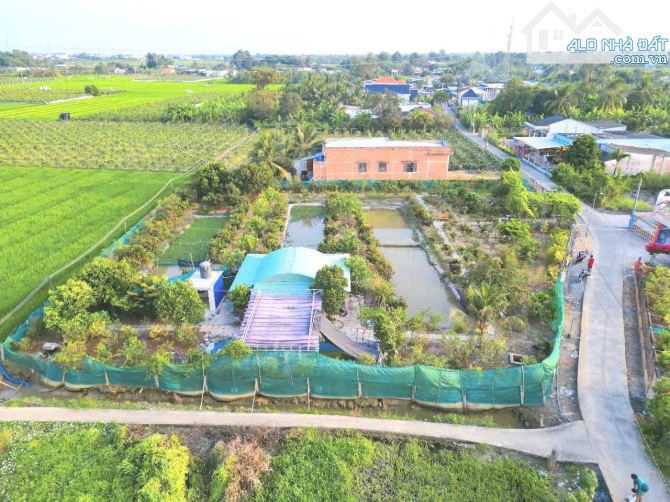 Nhà vườn 1800m2 đất cực đẹp, KDC Quê Mỹ Thạnh, 3.6 tỷ - 3