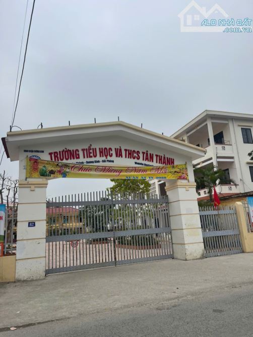 🆘🆘🆘Hàng ngon đầu ngõ 131, Tân Thành, Dương Kinh, Hải Phòng 100m - 3