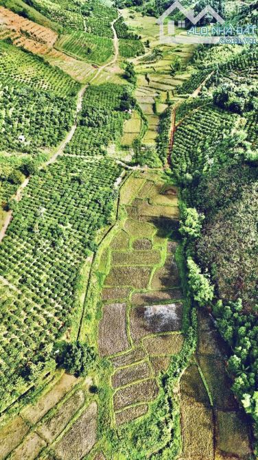 ✨ BÁN NHANH SIÊU PHẨM 2 MẶT TIỀN: 13.457m2 (gần 1.4 Héc) CÔNG CHỨNG SỚM - GIÁ: chỉ 478Tr - 3