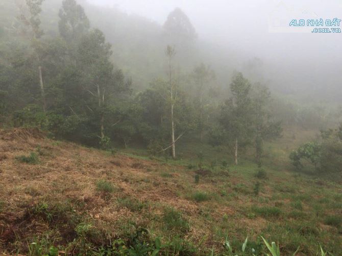 6 sào đất vườn view thung lũng thôn 10 xã Lộc Nam , huyện Bảo Lâm , Lâm Đồng giá 1,45 tỷ - 4