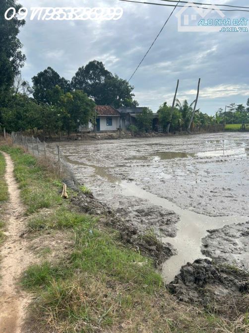 Bán gấp 2.8 sào đất ONT Tân An - TX LaGi giá ngộp View Sông Dinh - 4