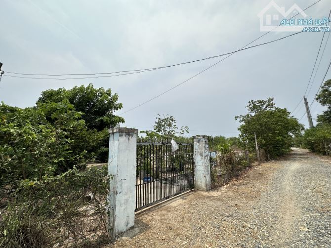 Bán đất 3484m2 đất ONT Tân Phước - TX LaGi cách QL55 600m giá rẻ nhất - 4