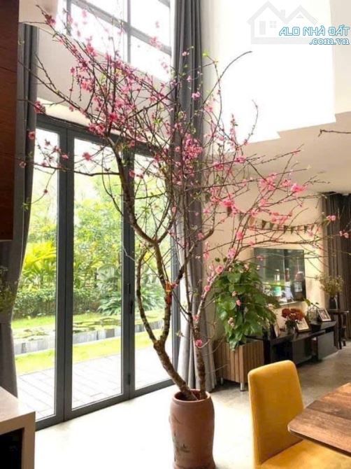 Bán biệt thự Gamuda Gardens 328m2, 3 tầng, mặt tiền 35m, 62 tỷ - 5