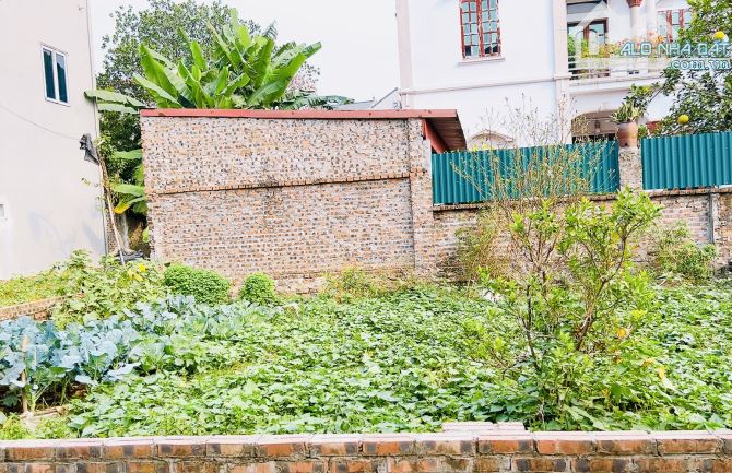 Siêu phẩm ô tô vào tận nơi 125m chỉ 3,8d rẻ nhất khu vực Đại Độ Đông Anh