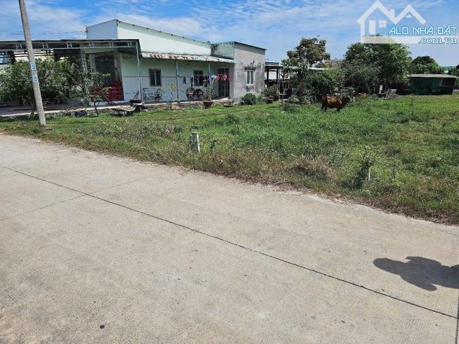 Bán Đất Đức Hoà Thượng,117m2 thổ cư SHR. 1 sẹc 823D vào 200m giá bán : 950 triệu