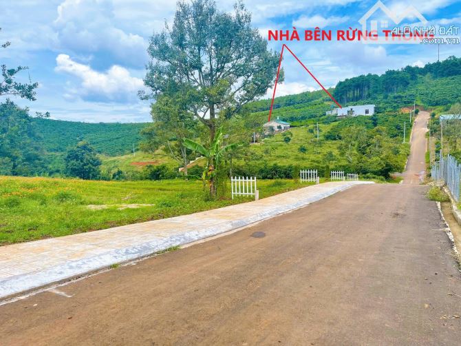 🔥🔥1043m2 đất vườn cây sầu riêng thổ cư, 9xx cả lô, view rừng thông, hàng xóm thân thiện