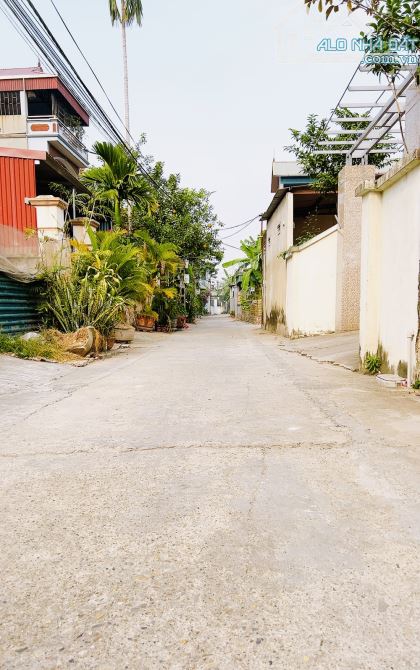 Siêu phẩm ô tô vào tận nơi 125m chỉ 3,8d rẻ nhất khu vực Đại Độ Đông Anh - 1