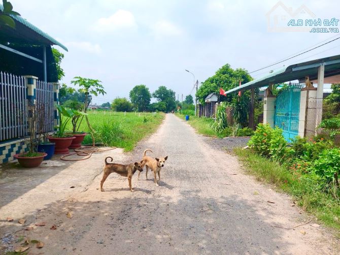 🔥Hạ 800 Triệu - gần 1.000m2 có thổ cư giáp Thị Trấn mà bán giá nhĩnh 2 tỷ, đường nhựa 12m - 1