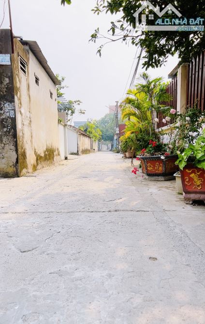 Siêu phẩm ô tô vào tận nơi 125m chỉ 3,8d rẻ nhất khu vực Đại Độ Đông Anh - 2