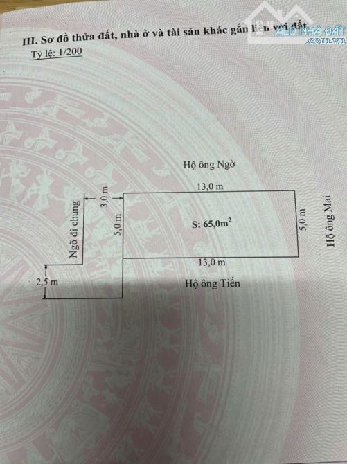 💥 Đất Cống Mỹ, Nam Sơn, An Dương ngõ ô tô giá chỉ 7xx tr - 2
