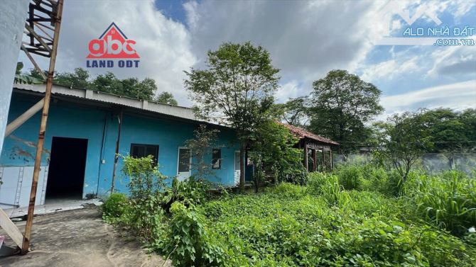 CHO THUÊ KHO XƯỞNG 2600m2  SX MẶT TIỀN ĐƯỜNG ĐỒNG KHỞI GIÁ 70TRIỆU 1/THÁNG CỌC HĐ LÂU DÀI - 5