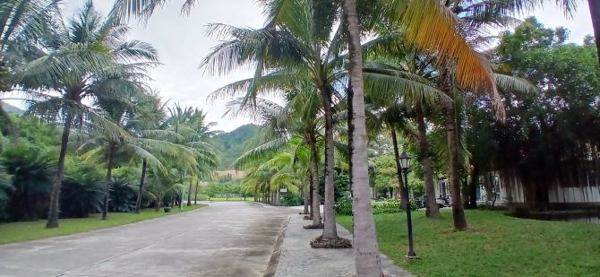 Cần bán Giáng Hương Villa Nha Trang - 6