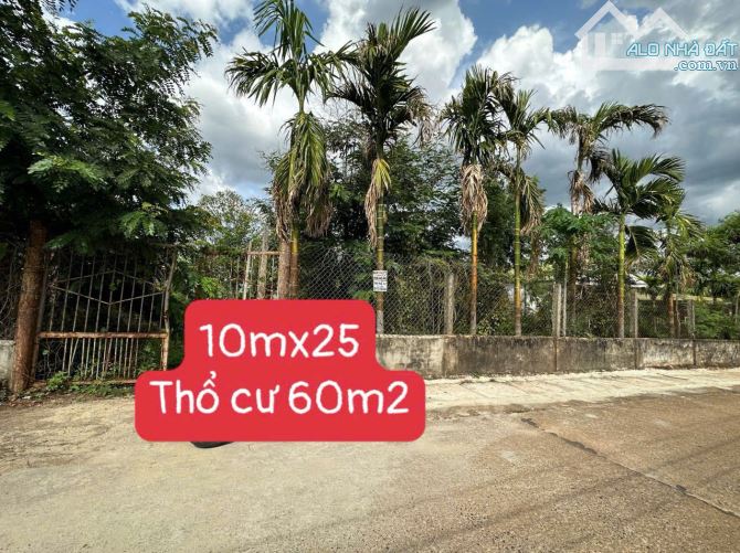 Đất Hoà Thắng cách QL 27 500m thích hợp mua ở làm nhà vườn