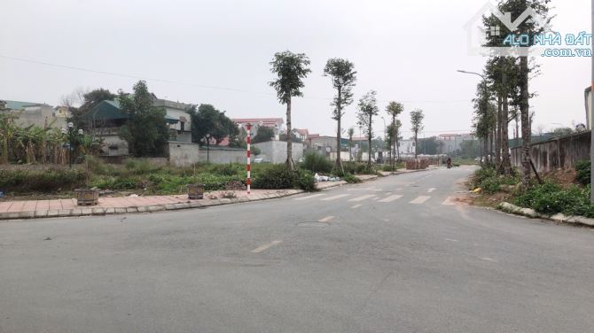 🔥BÁN ĐẤT ĐẤU GIÁ QUANG MINH - MÊ LINH | 2 MẶT THOÁNG - VỈA HÈ RỘNG - GẦN KCN QUANG MINH