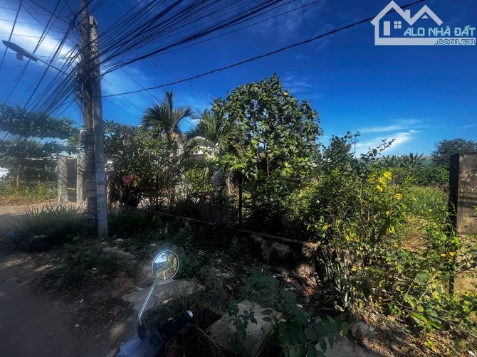 BÁN ĐẤT BÌNH MINH 328M2 SỔ RIÊNG THỔ CƯ KINH DOANH CHỈ 4 TỶ THƯƠNG LƯỢNG - 2