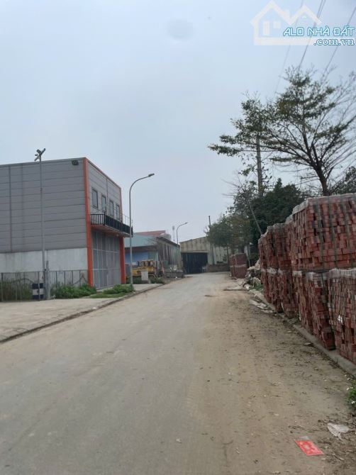 Bán đất đấu giá sông công xuân ổ b dt 100m2 + mt 5m + hướng tb giá 4.6 tỷ - 2