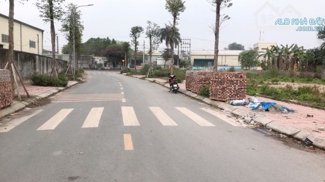🔥BÁN ĐẤT ĐẤU GIÁ QUANG MINH - MÊ LINH | 2 MẶT THOÁNG - VỈA HÈ RỘNG - GẦN KCN QUANG MINH - 1