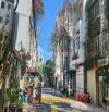 Bán nhà Khu nội bộ Hồ Quý Ly, Phường Thắng Tam, Vũng Tàu - Nhà cấp 4, 72m2, bán 8 tỷ