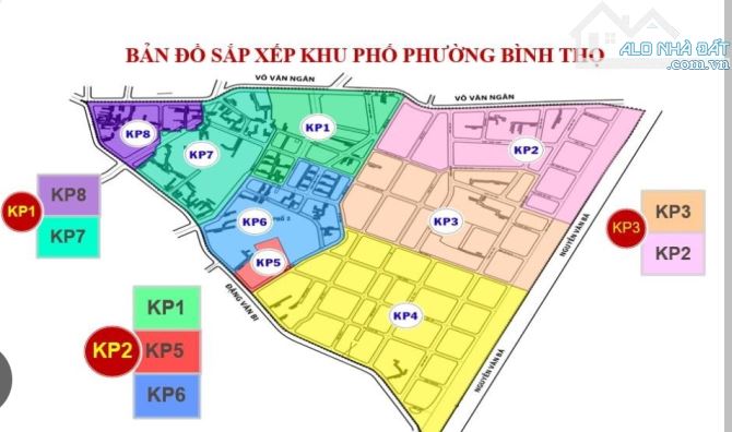 Bán Gấp Lô Đất Mặt Tiền 1.615m² (31x52m) Phường Bình Thọ, Thủ Đức – Khu Vực Sầm Uất