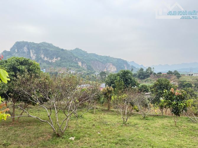 BÁN MẢNH ĐẤT VIEW ĐẸP TẠI BẢN LÙN, MƯỜNG SANG, TT MỘC CHÂU – SỔ SẴN, SANG TÊN NGAY!