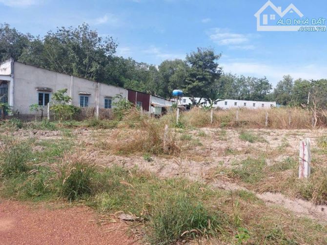 BÁN 2030m2 đất ở Thanh Tuyền ,Bình Dương giá 970 triệu, sổ hồng