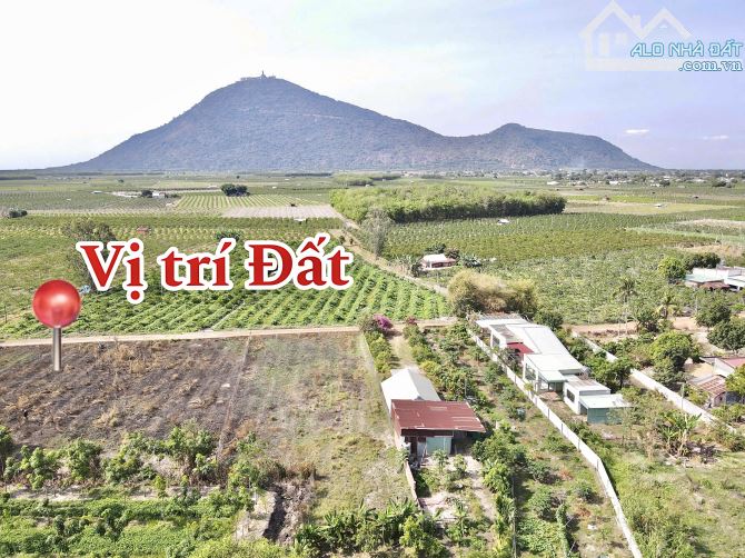 ✨ NGỢP: 5x43m hậu dài, View Núi Bà, đường sỏi đỏ tương lai là đường Lớn (QH: 20M) - 399Tr