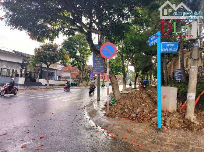 Cần chuyển nhượng khu đất VIP mặt tiền Nguyễn Viết Xuân P4 Đà Lạt trung tâm TP Đà Lạt - 1
