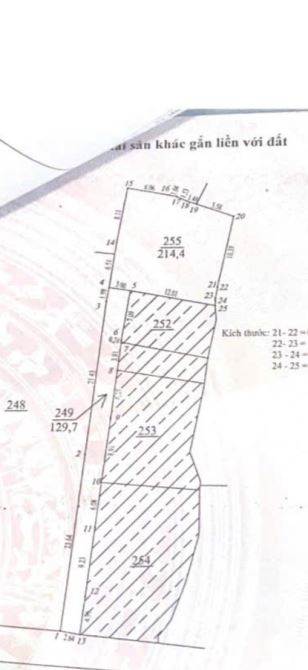 310m2 ĐẤT Nhật Tảo, Ô tô Ngủ Trong Nhà, Phù Hợp Chia Lô , Hoặc Xây CCMN Đỉnh, 42 Tỷ - 1