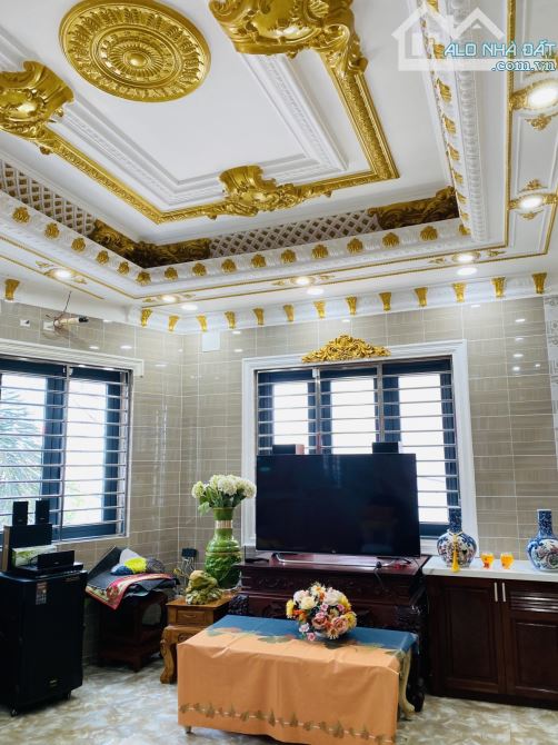 Biệt phủ Bùi Minh Trực p6 Q8, 125m2, hoàn công, công nhận đủ - 1