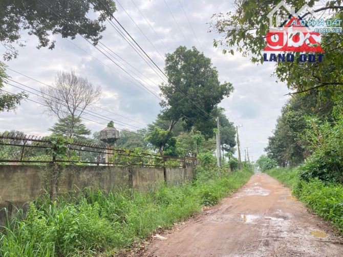 Bán Đất Bình Minh-TB. Gần 12.000m2. Gần đường VÕ NGUYÊN GIÁP,  SHR. Chỉ 2tr/m2 - 1