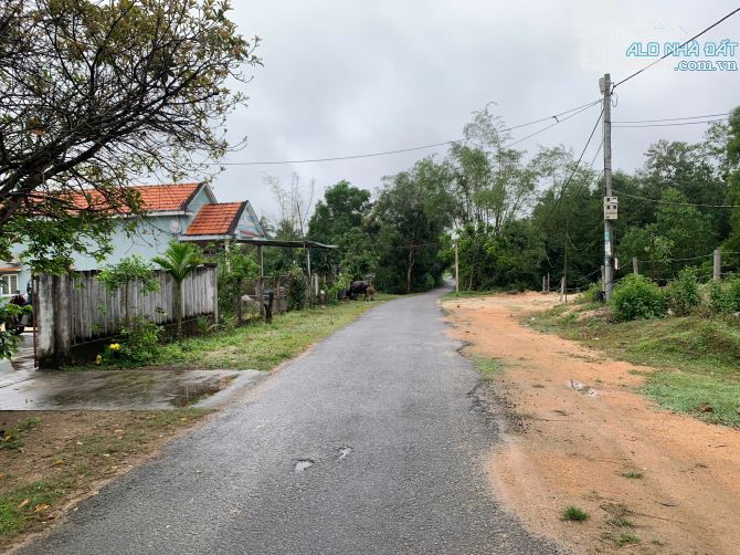 Bán Đất Tam Phú Đường Quy Hoạch Rộng (23,5 Mét) Cách Đường Nguyễn Tất Thành 300 MÉT. - 1