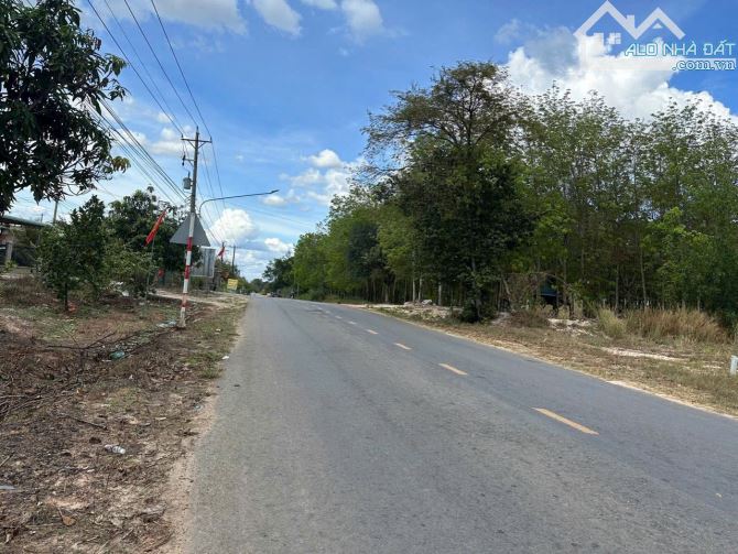 BÁN 2030m2 đất ở Thanh Tuyền ,Bình Dương giá 970 triệu, sổ hồng - 1
