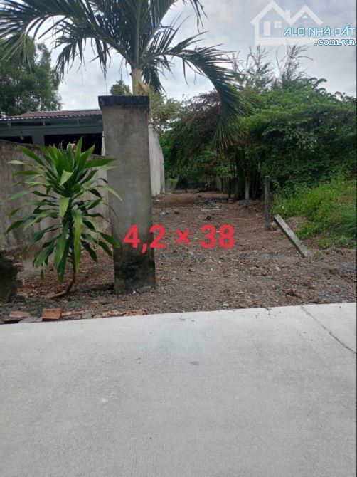 Đất Mt đường bờ kênh Nhơn Hậu, P Tân Khánh TP Tân An. Gần ngã tư vành đai & QL1 - 2
