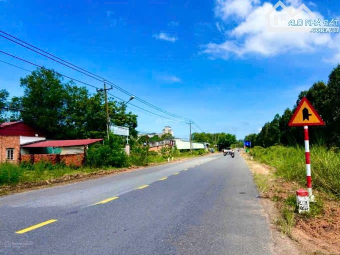 BÁN ĐẤT GIÁ RẺ TRỪ VĂN THỐ KCN BÀU BÀNG, BÌNH DƯƠNG - 2