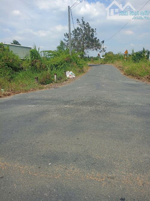 Đất lớn xã An Vĩnh Ngãi, TP Tân An tỉnh Long An - 2