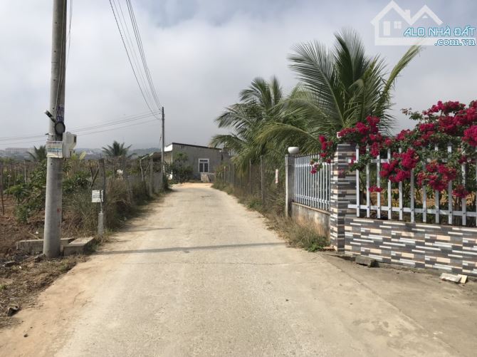 20x30m gần ql20 Đại Lào Bảo Lộc. - 3