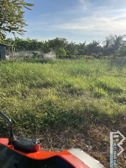 Đất vườn nghỉ dưỡng view kênh mát mẻ Tân Trung-Tp Gò Công-Tiền Giang - 3