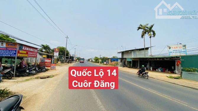 Đất QUỐC LỘ 14 CUÔR ĐĂNG Giáp HOÀ THUẬN - 3