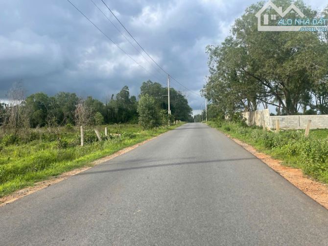 Bán 4000m2, 1HA Đất Mặt Tiền đường Âu cơ, xã Tiến Thành, Gần Novaworld Phan Thiết - 3