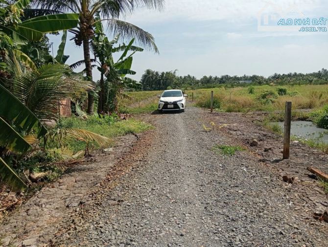 Chủ gửi bán 1000m2 đất vườn. Lương bình - bến lức - long an - 3