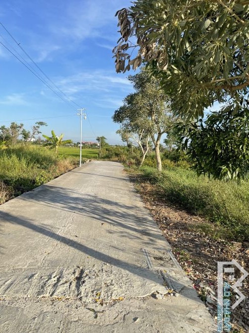 Đất vườn nghỉ dưỡng view kênh mát mẻ Tân Trung-Tp Gò Công-Tiền Giang - 4