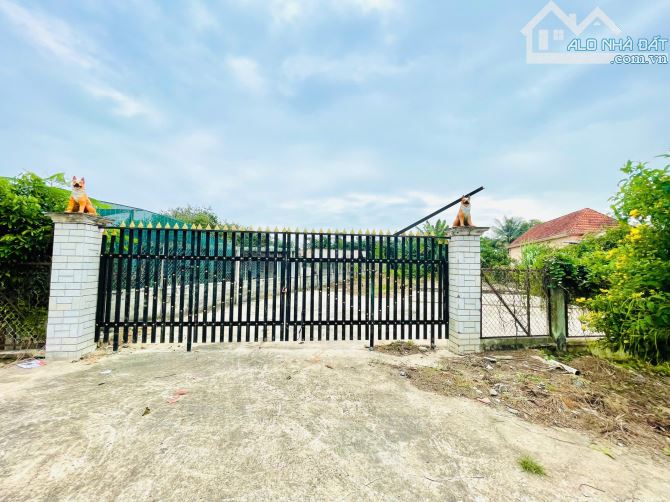 🔥Hạ 500Triệu - Đất 1.333m2 thổ cư, mặt tiền Trung Lập đường xe công gần Chợ, Trường Học - 4